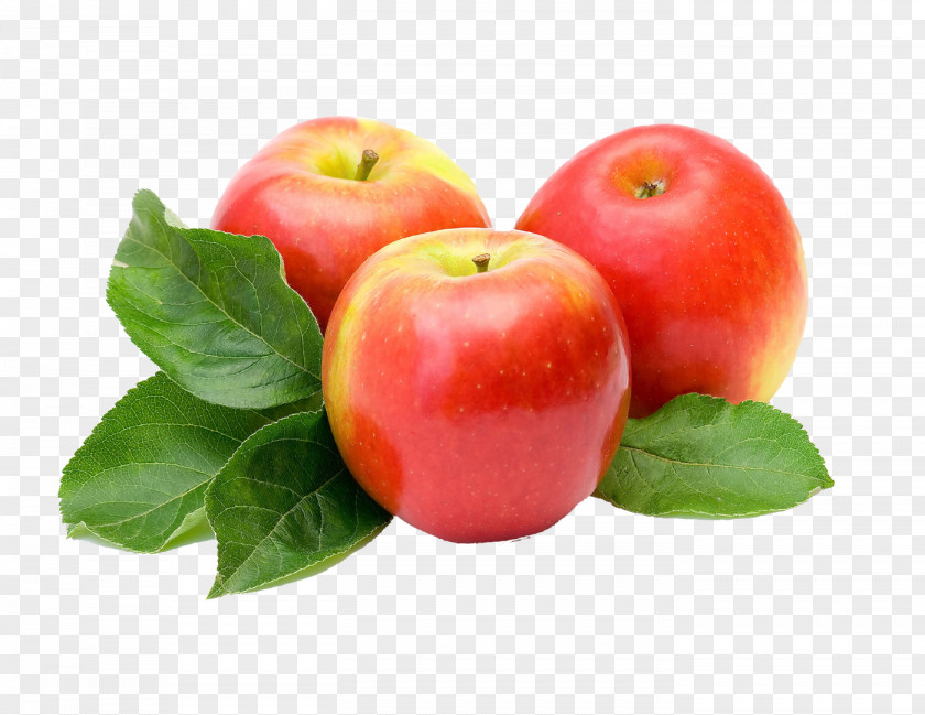 Apple Fruit Juice Red Delicious PNG