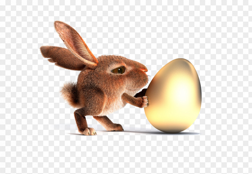 Bunny Push The Golden Eggs Easter Rabbit Egg Wallpaper PNG