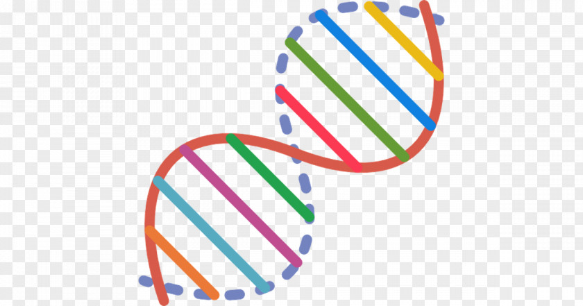 Dna Vector PNG