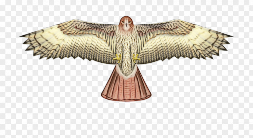 Falconiformes Figurine X Wing Background PNG