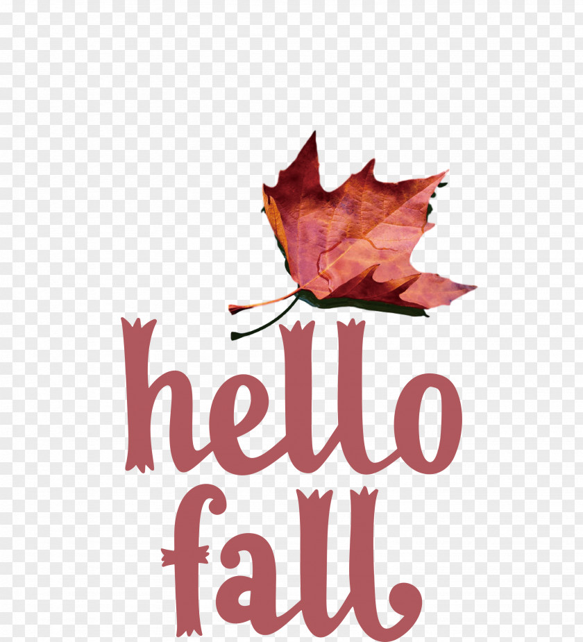 Hello Fall Fall Autumn PNG