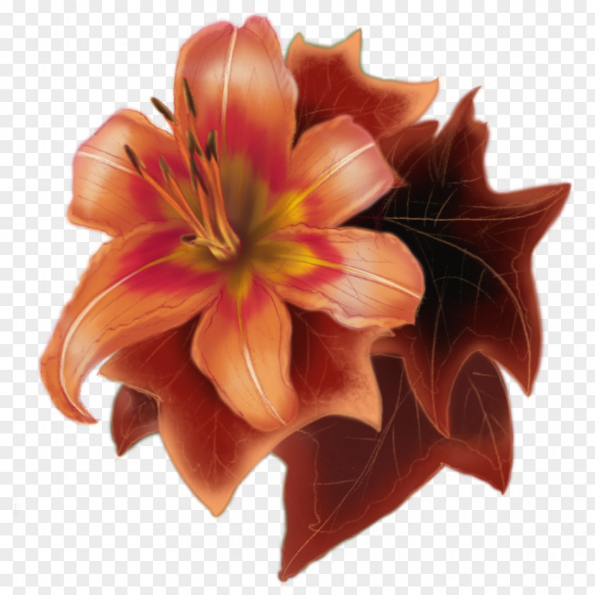 Mid Autumn Logo Amaryllis Jersey Lily Cut Flowers Belladonna Petal PNG