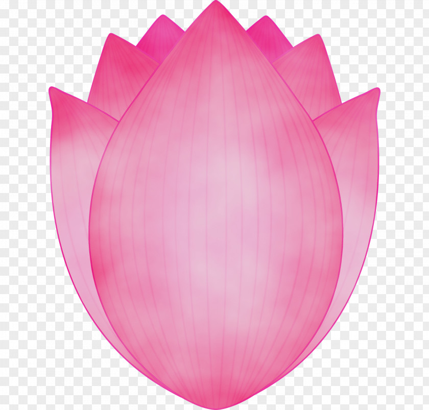 Pink Petal Tulip Magenta Plant PNG