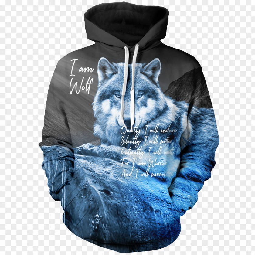 T-shirt Hoodie Bluza Sweater Printing PNG