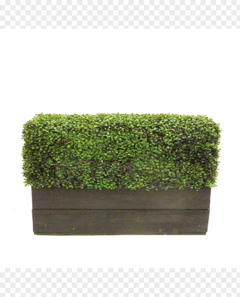Table Hedge Box Topiary Furniture PNG