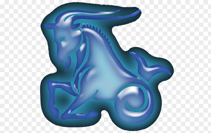 Zodiac Capricorn Love Astrological Sign January 20 PNG