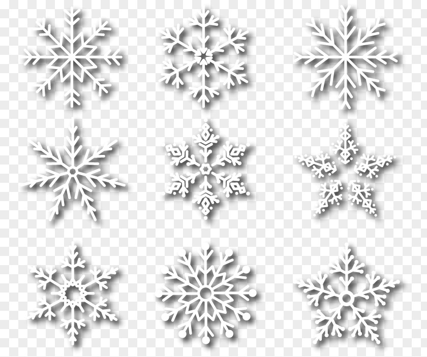 9 White Snowflakes Euclidean Vector Flower PNG