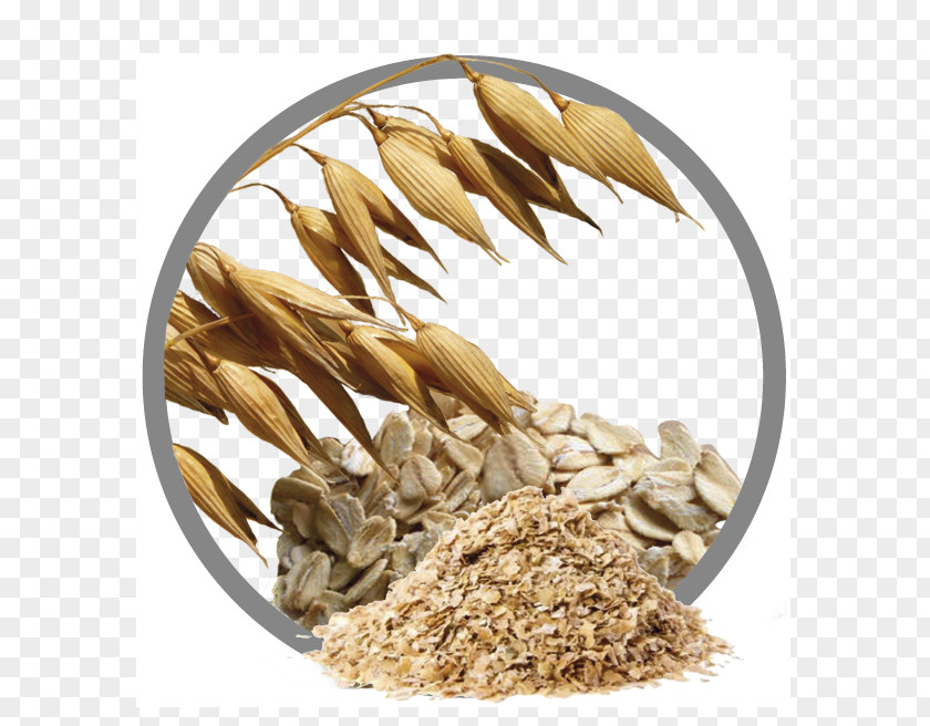 Andrographis Paniculata Oat Vegetarian Cuisine Cereal Germ Whole Grain PNG