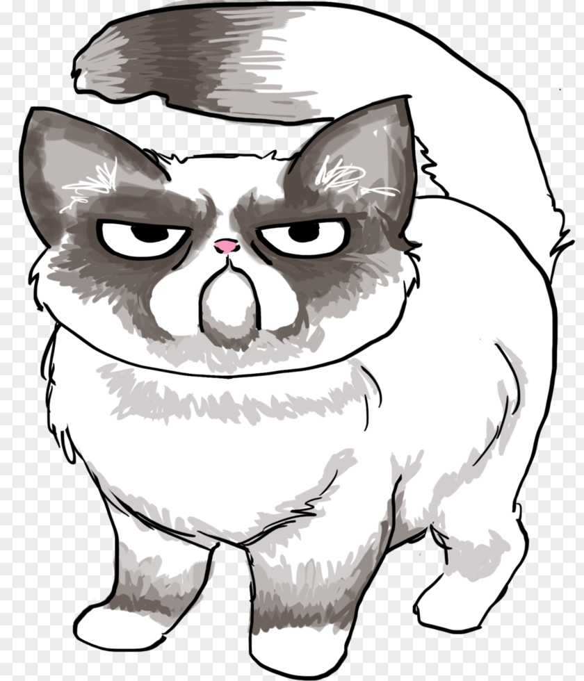 Cat Grumpy Line Art Drawing PNG