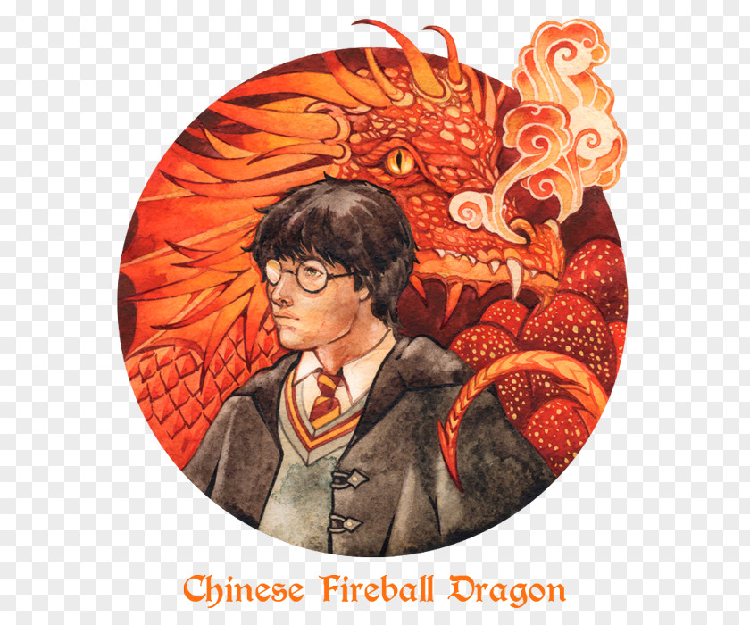 Dragon Chinese Fireball Fictional Universe Of Harry Potter China PNG