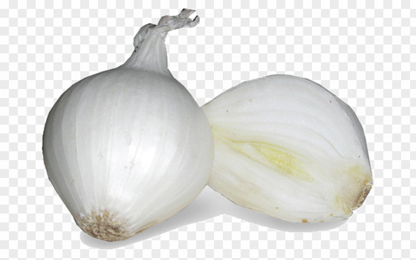 Garlic Yellow Onion Shallots White Pearl PNG