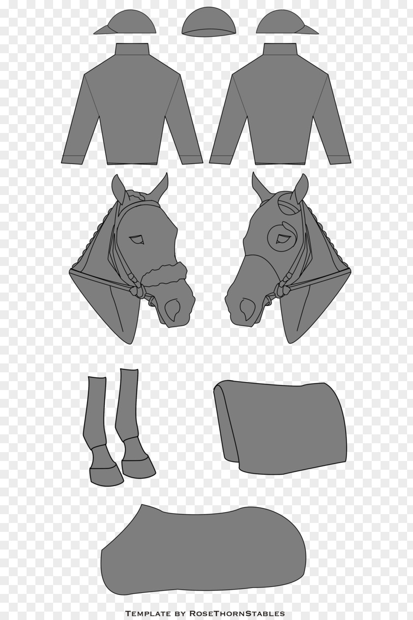 Horse Racing Jockey Silks Pattern PNG