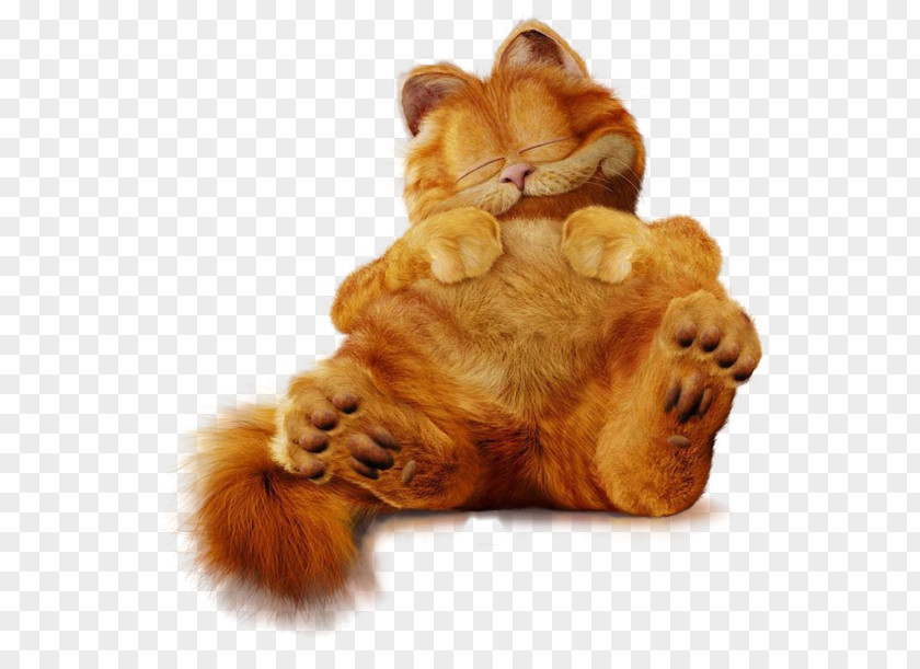 Lazy Fat Cat Odie Jon Arbuckle A Week Of Garfield Minus PNG
