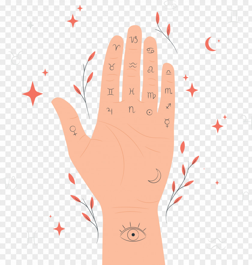 Palm Reading PNG