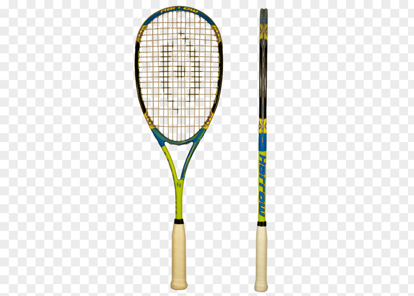 Racket Rakieta Do Squasha Strings Tecnifibre PNG