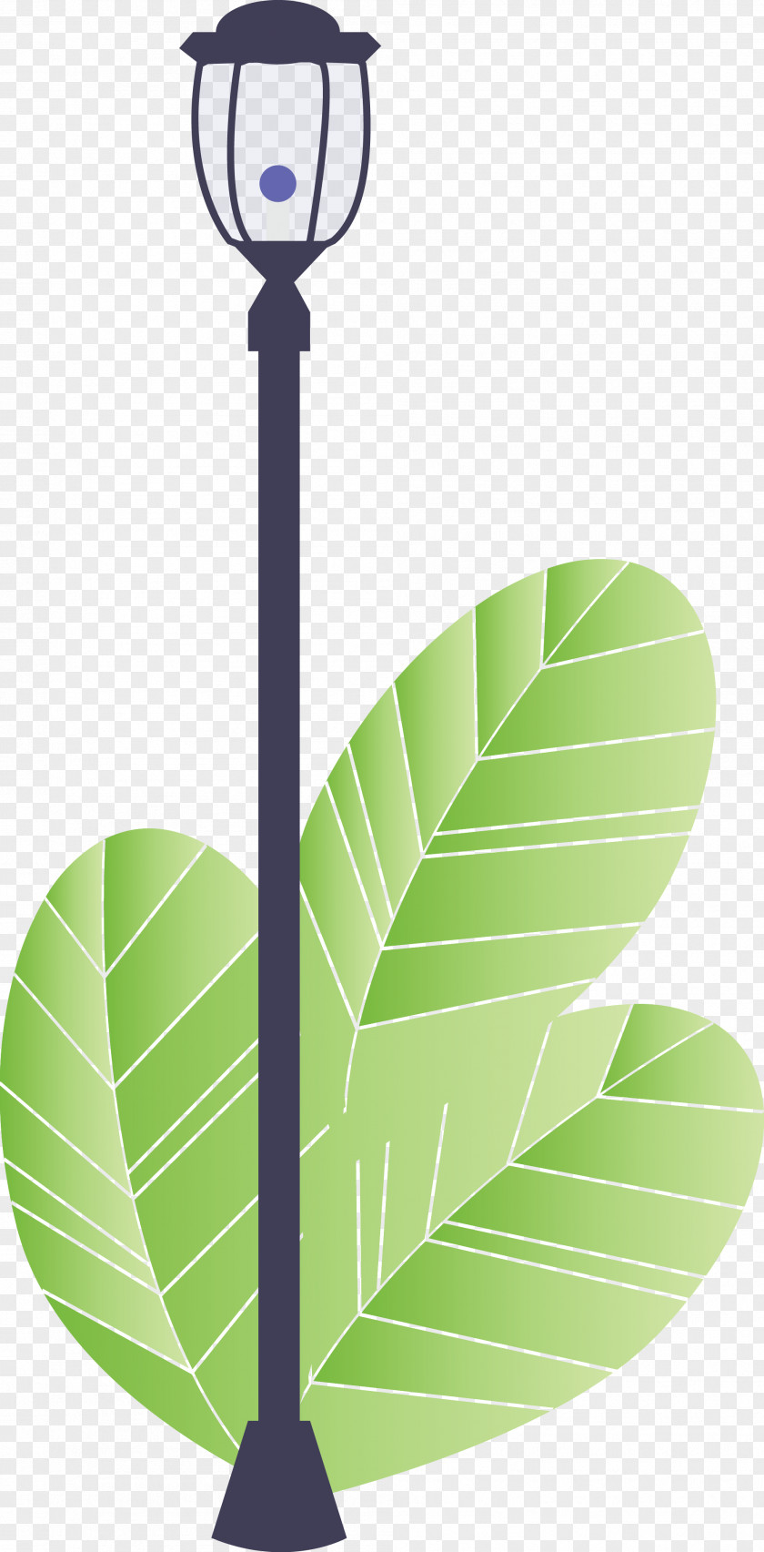 Street Light Tree PNG