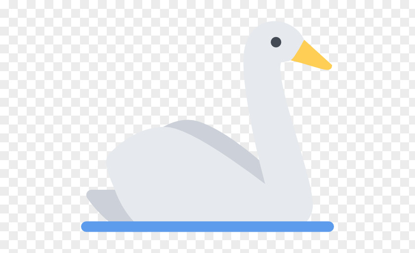 Swan Vector Goose Cygnini Duck Bird Waterfowl PNG