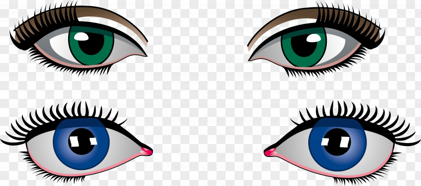 Eyes Clip Art PNG