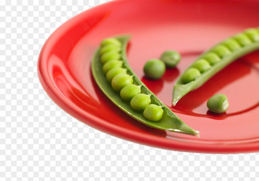 Green Beans And Peas Pea Vegetarian Cuisine Recipe Garnish Dish PNG