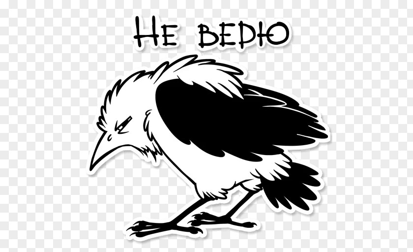 Owl Sticker Beak Bird Of Prey PNG