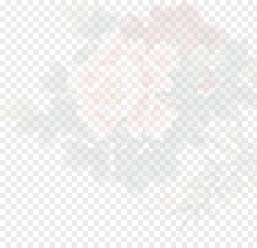 Peony White Black Angle Pattern PNG