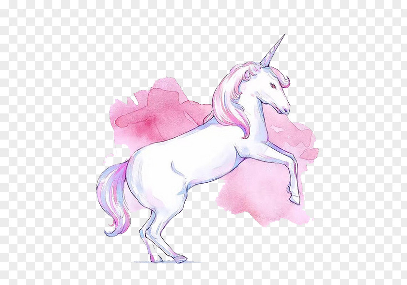 Pink Unicorn Invisible Horse PNG
