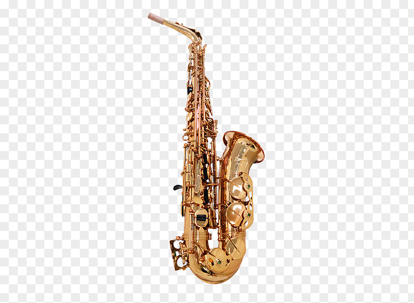 Saxophone Player Baritone Clarinet Family Bass Oboe PNG