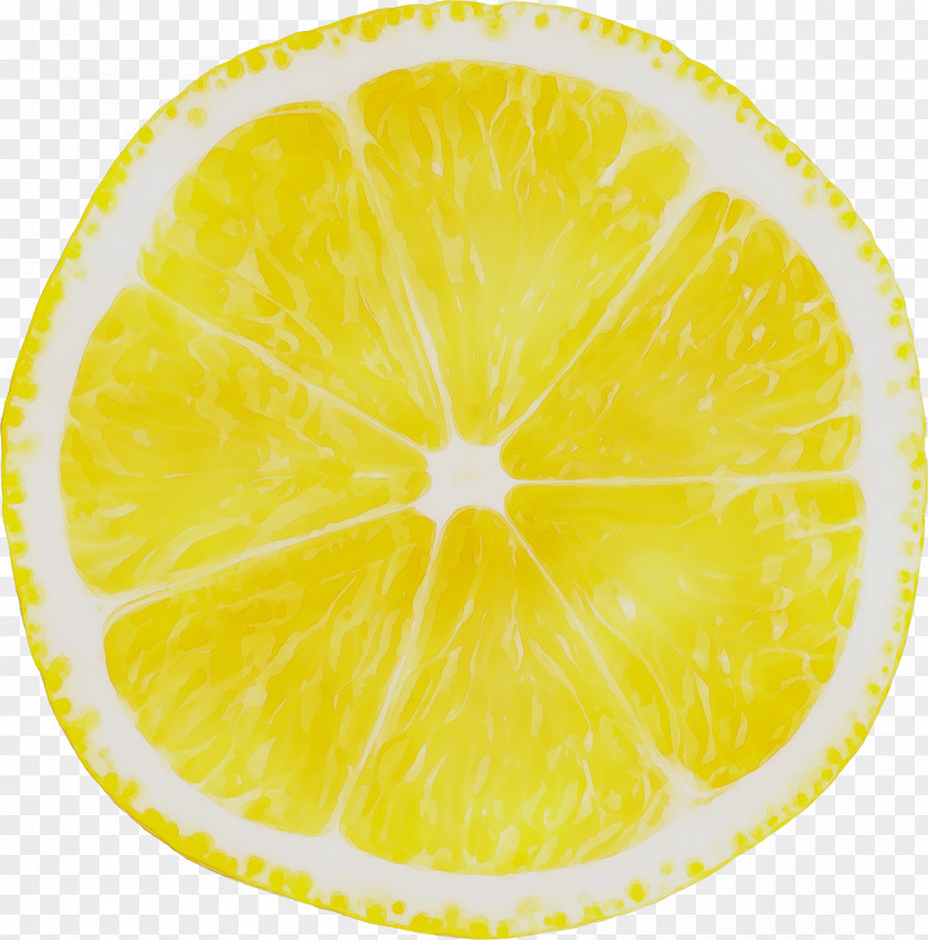 Sweet Lemon Citron Grapefruit Lime PNG