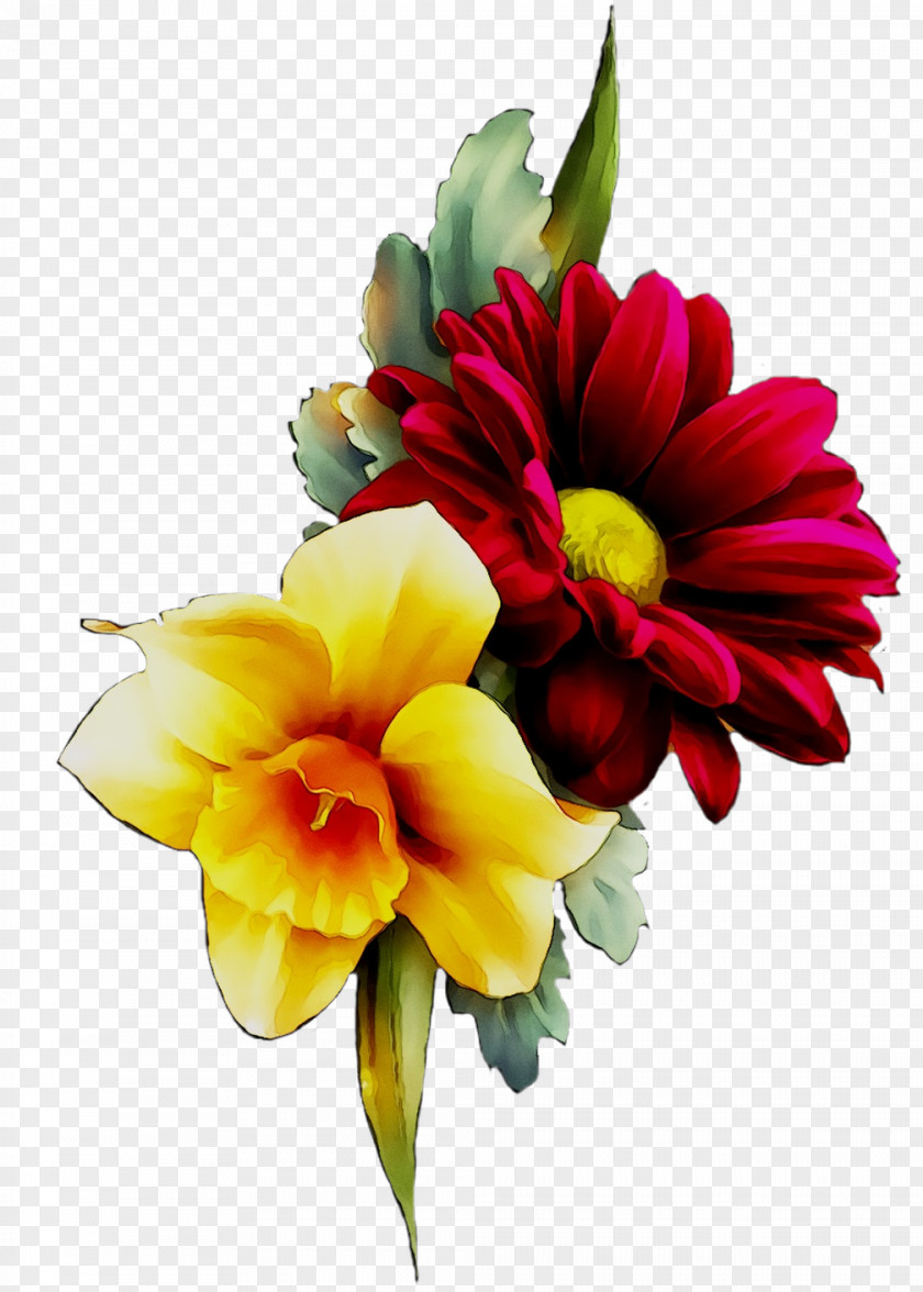 Transvaal Daisy Floral Design Cut Flowers Flower Bouquet PNG