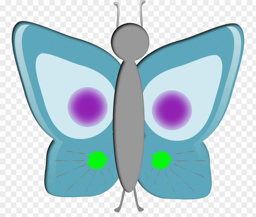 Blue Butterfly Insect Morpho Rhetenor Clip Art PNG