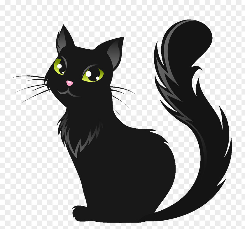 Cat Black Kitten Le Chat Noir PNG