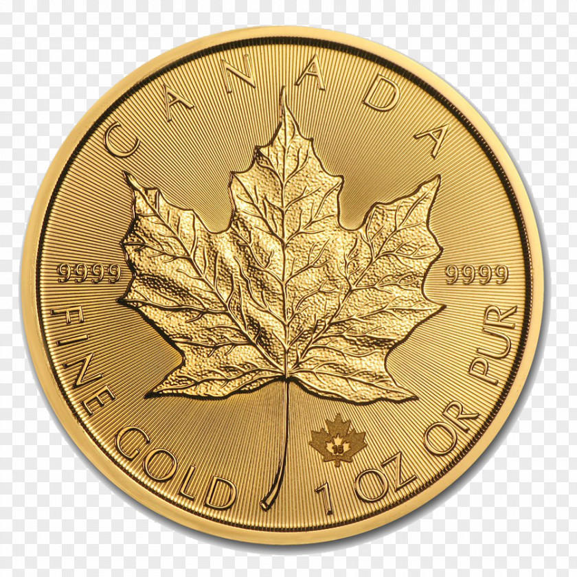 Coins Canadian Gold Maple Leaf Coin Royal Mint PNG