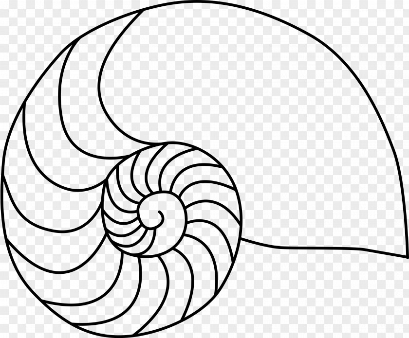 Ear Blackandwhite Snail Cartoon PNG