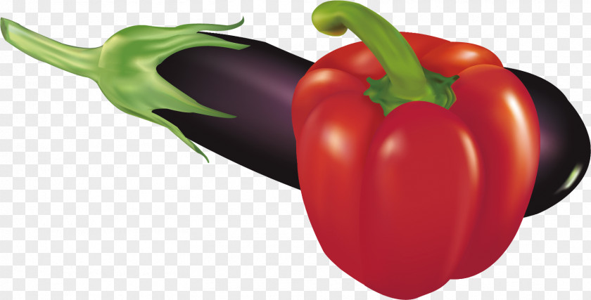 Eggplant Pepper Material Habanero Serrano Cayenne Bell Paprika PNG