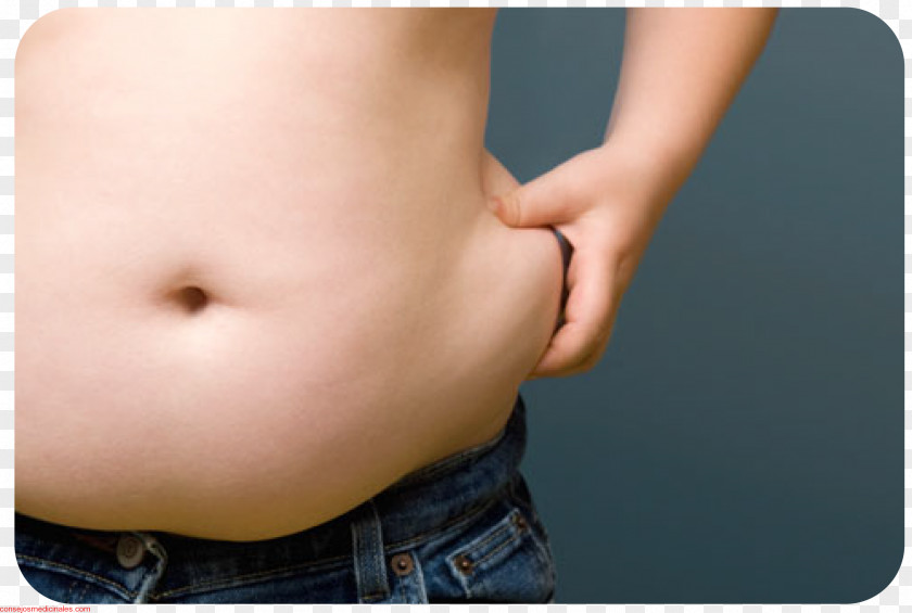 Health Abdominal Obesity Abdomen Adipose Tissue Fat PNG