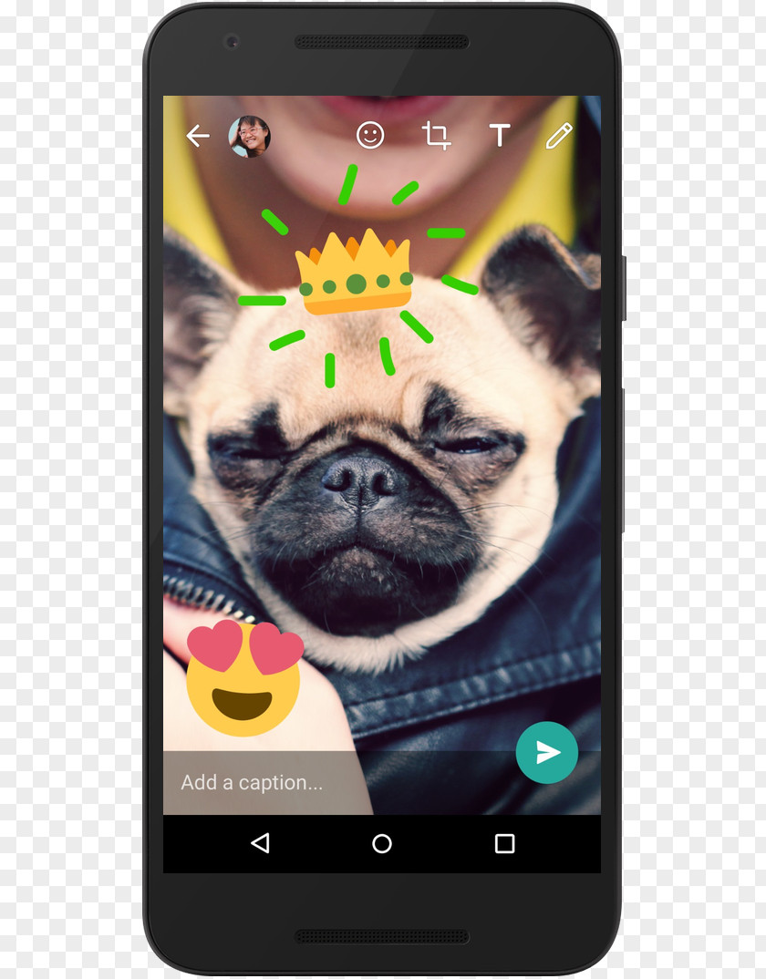 Whatsapp WhatsApp Camera Android Emoji PNG