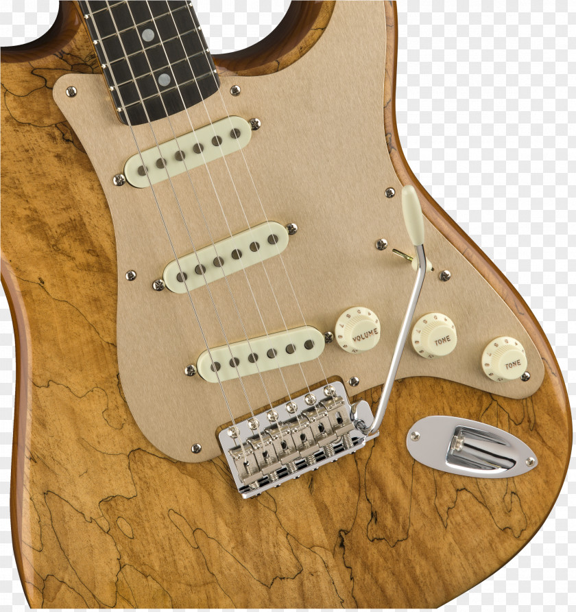 Electric Guitar Bass Fender Stratocaster Custom Shop Musical Instruments Corporation PNG