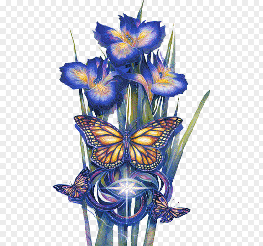 Flower Cut Flowers Orchids Blue Image PNG