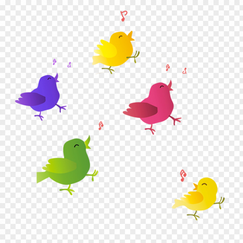 Singing Birds Bird PNG