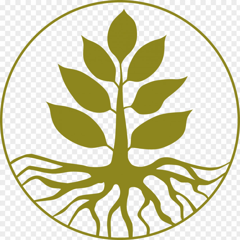 Tree Of Life Drawing Clip Art PNG