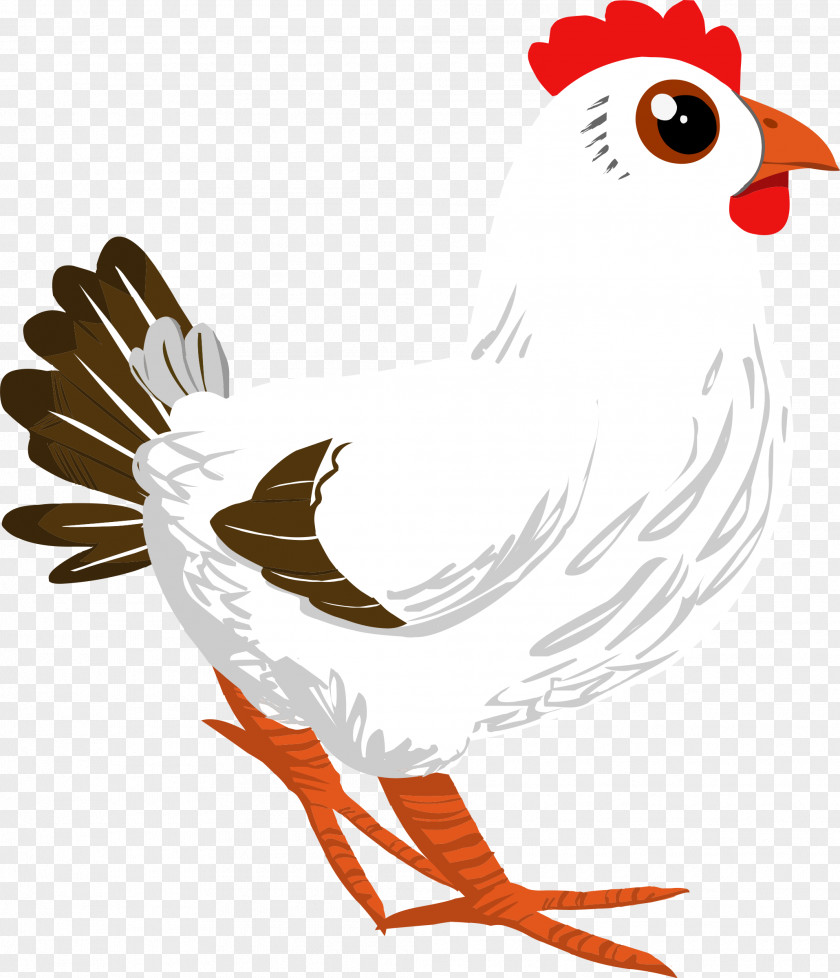 Chicken Cochin Poultry Rooster Egg PNG