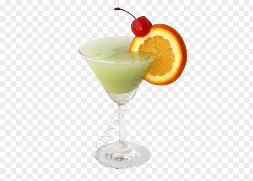 Cocktail Garnish Daiquiri Martini Non-alcoholic Drink PNG