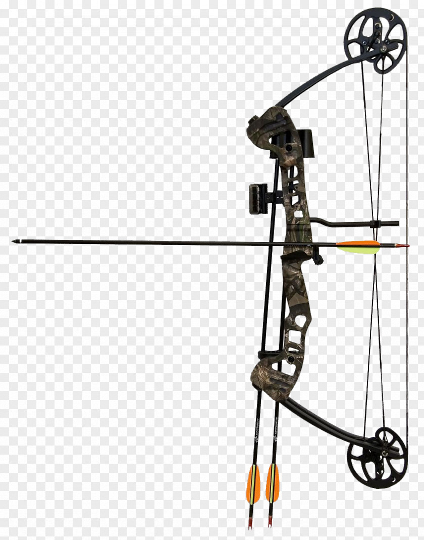 Compoundbowandarrow Compound Bows Bow And Arrow Archery Hunting PNG