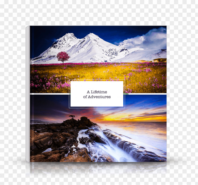 Flat Lay Desktop Wallpaper 4K Resolution Ultra-high-definition Television Multimedia Projectors PNG