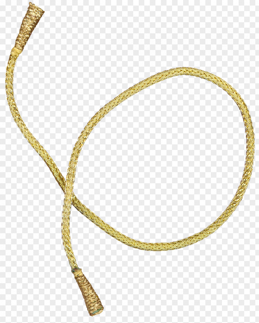 Golden Rope Material Icon PNG