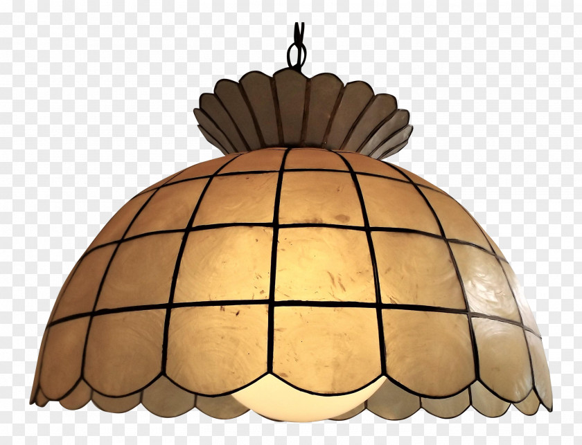 Hanging Rattan Lamp Shades Light Fixture PNG