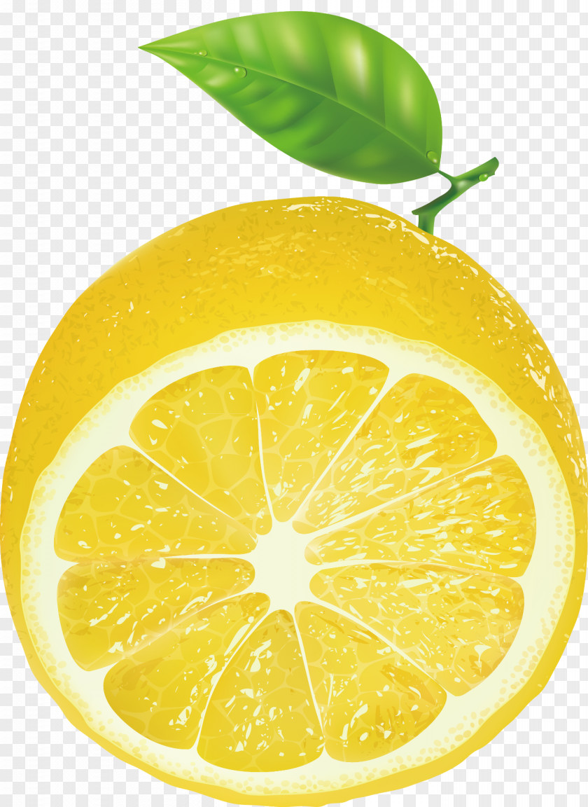 Lemon Decorative Design Patterns Key Lime Persian PNG