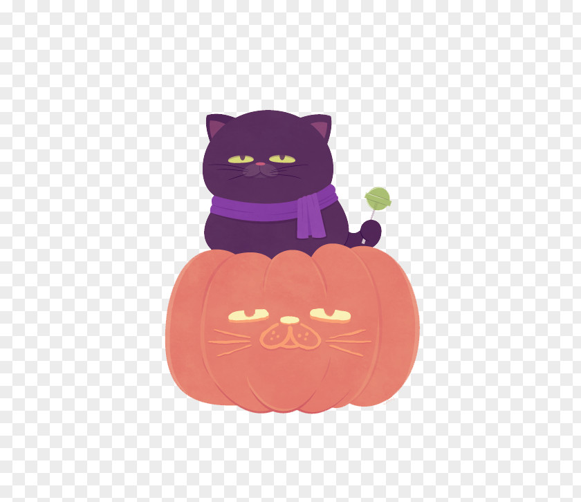 Pumpkin Cat And Black PNG