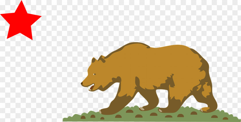 Bull And Bear California Republic Flag Of State PNG