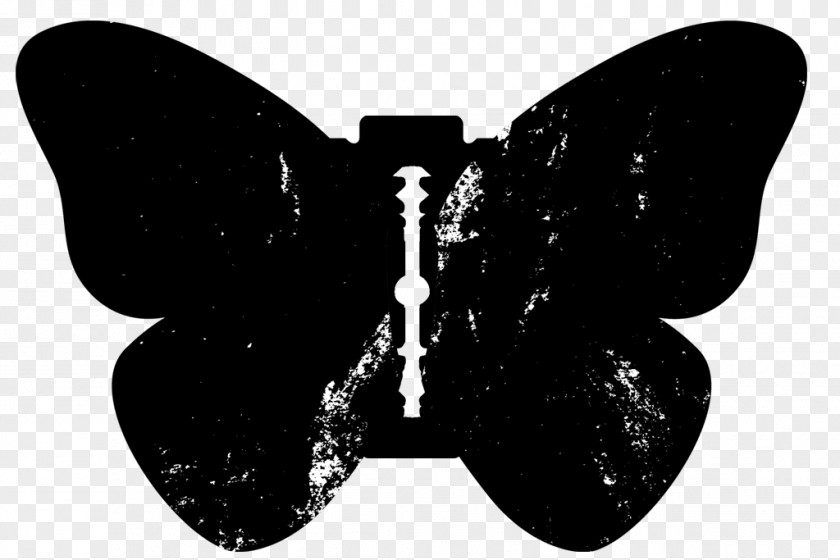 Butterfly Age Of Enlightenment Clip Art PNG